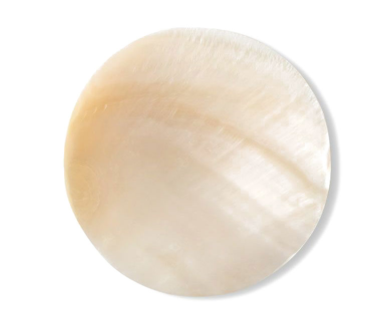 シェルでできたおしゃれなトレイ