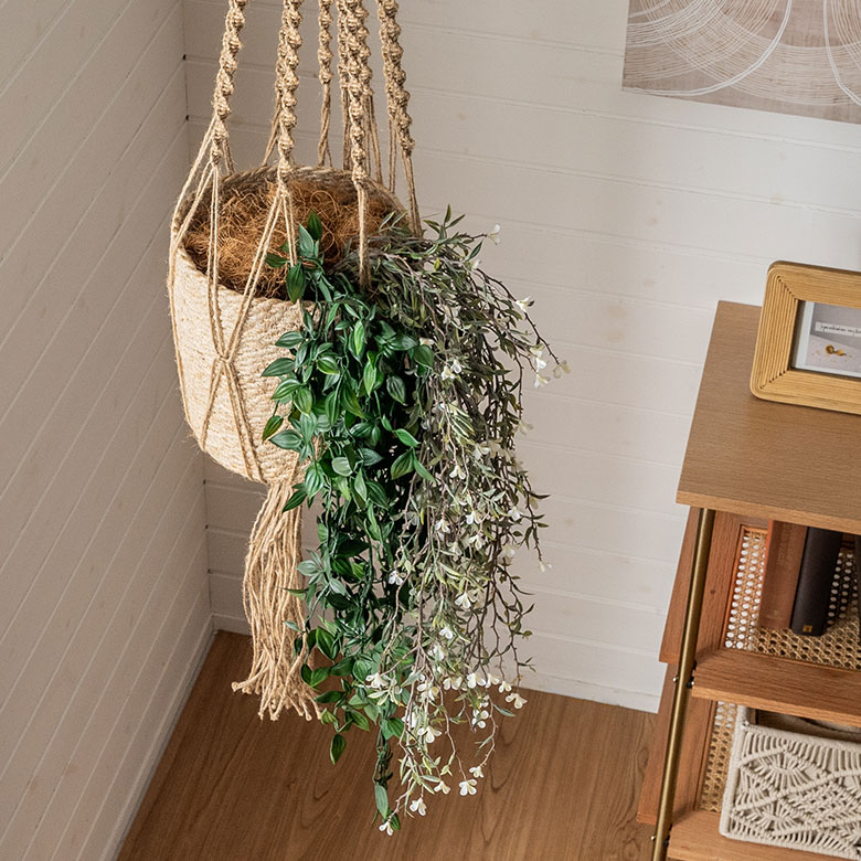 ハンギングプランツ