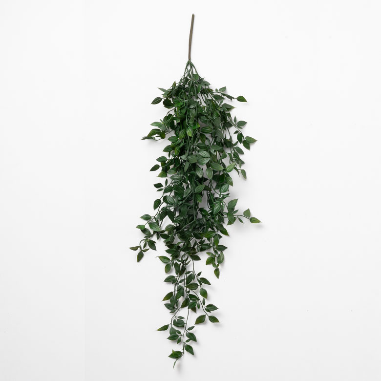 リアルなグリーンインテリア