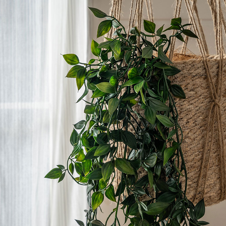 おしゃれなインテリア用グリーン