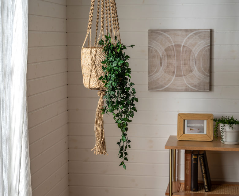 アートプランツをお部屋に