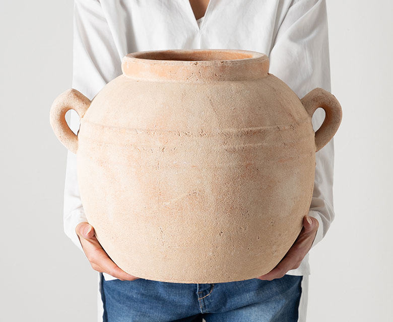 ユニークな鉢植え