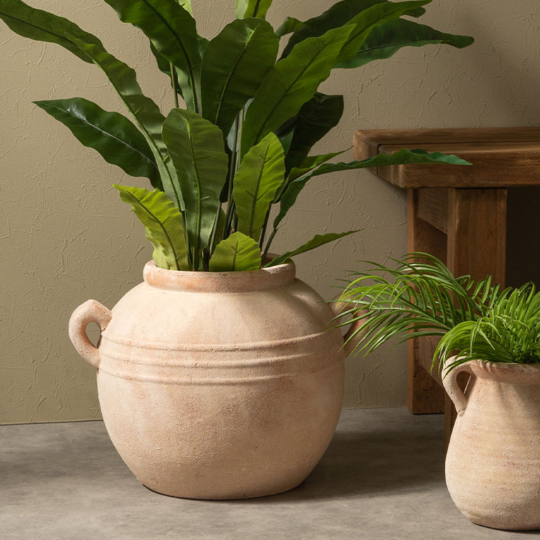 おしゃれな鉢植え