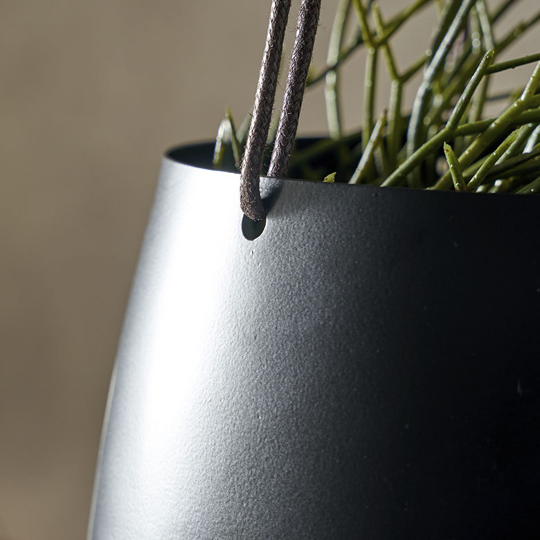 ハンギンググリーン