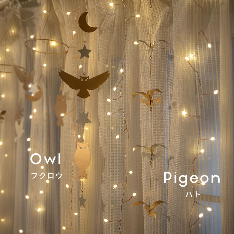 フクロウ、ハト