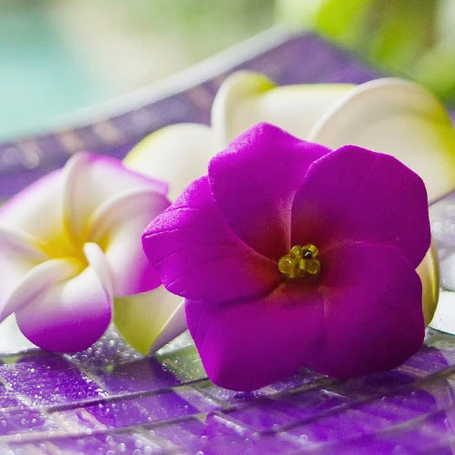 ハイビスカスの造花