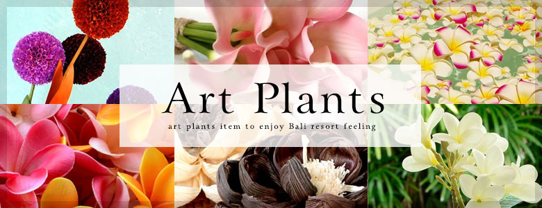 アートプランツ一覧へ