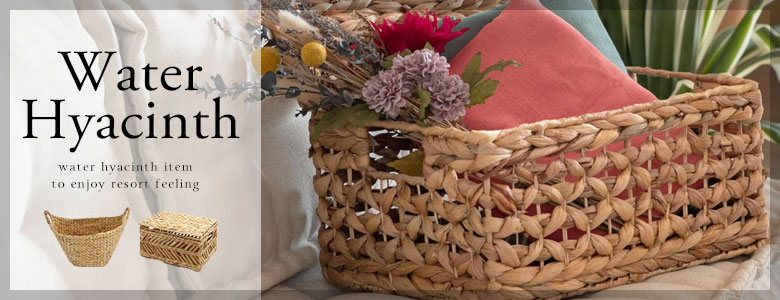 ウォーターヒヤシンスアイテム一覧