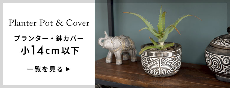 小 14cm以下一覧へ