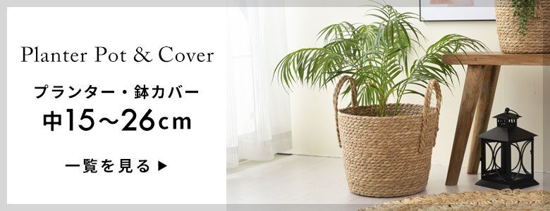 中 15~26cm一覧へ