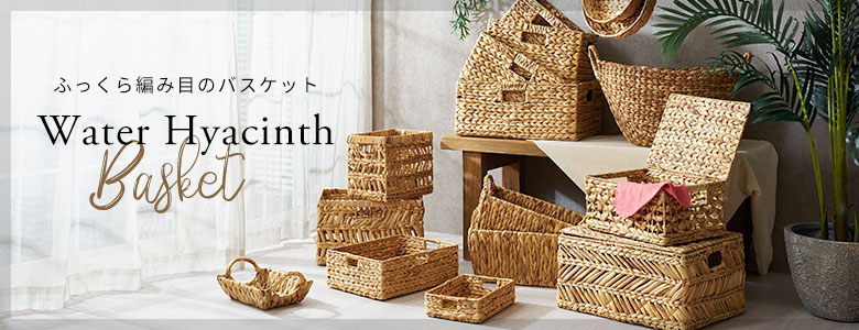 ウォーターヒヤシンスのバスケット一覧