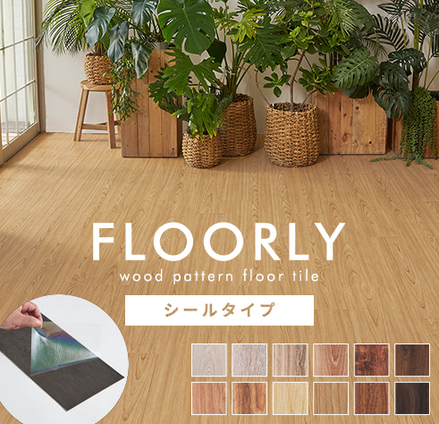 ベーシックカラー