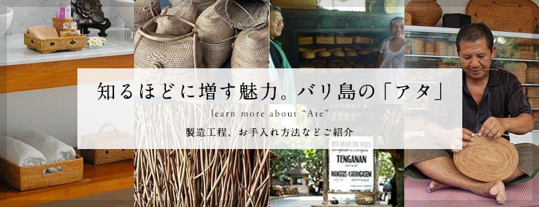 もっと詳しいアタの情報はこちら