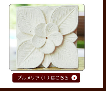 リビングなどのお部屋のオブジェとしても使えるアイテムです。