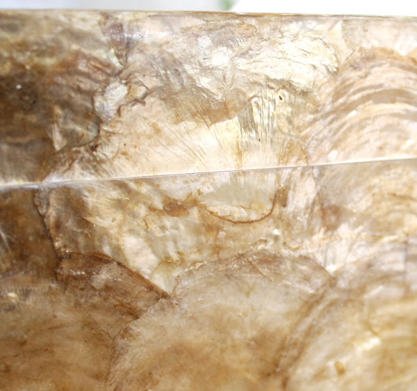 カピスシェルのティッシュケースカバー