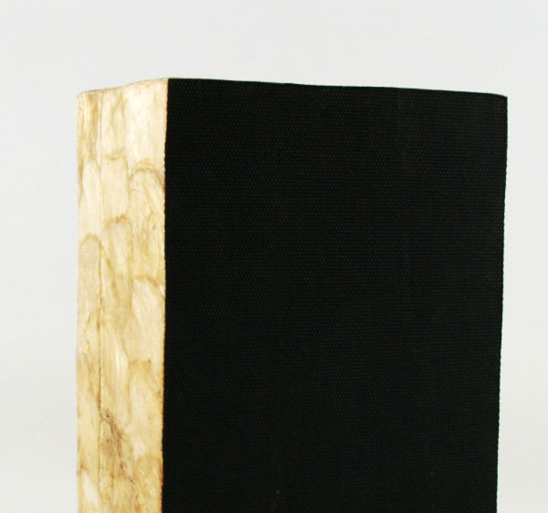 カピスシェルのティッシュケースカバー