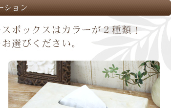 お好きなカラーをお選び下さい。
