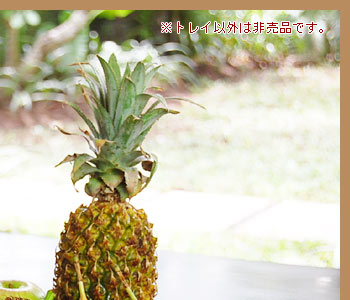 バリの雰囲気を楽しめるアジアンバンブートレイ。