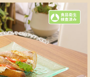 バリ島のプルメリアの花がデザインされたシンプルで使いやすいガラスプレート。