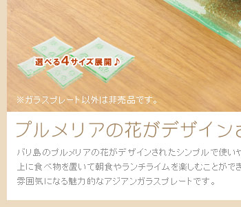 食品衛生検査済みでプレートのうえに食べ物をおいて朝食やランチタイムを楽しむことができます。