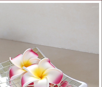 モザイクタイルのように並べて貼り付けたプレートは