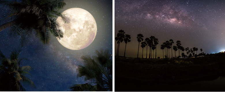 新たな気持ちで新年を迎えるニュピの一日