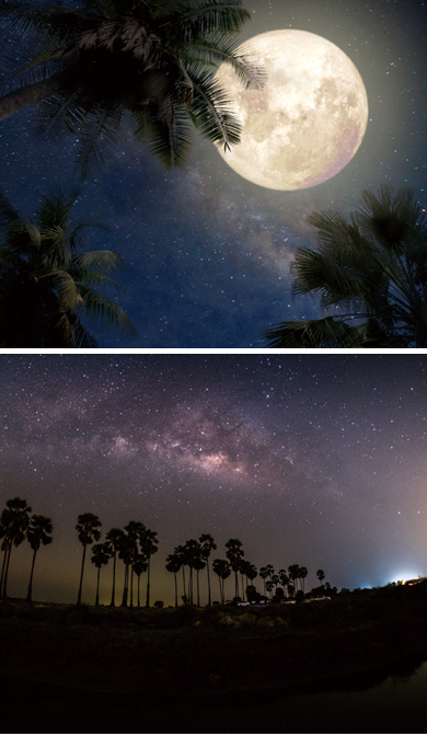 新たな気持ちで新年を迎えるニュピの一日