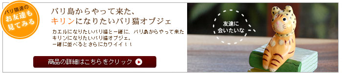 バリ猫の友達を見る。キリンになりたいバリ猫