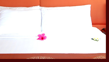 独特の存在感で、ご自宅のインテリアのアクセントになります。