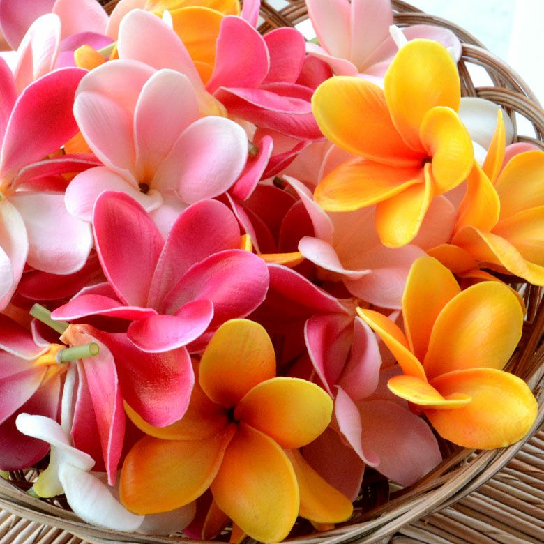 000000000324-03.jpg?size=l&w=
