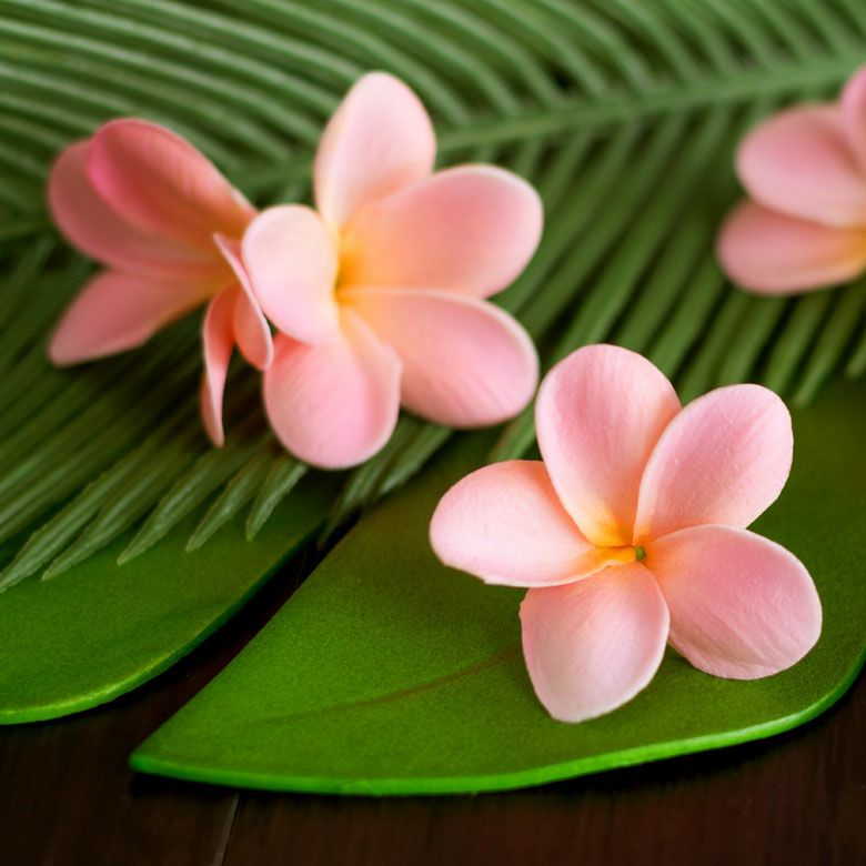 000000000324-12.jpg?size=l&w=