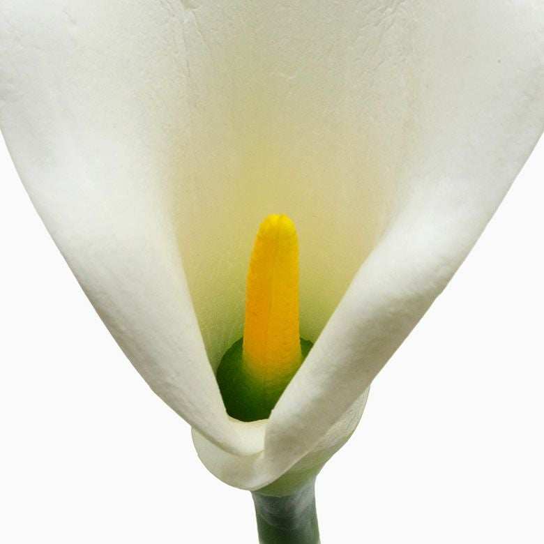 造花 カラーリリー (ロング][6165]【アジアン雑貨のアジア工房本店