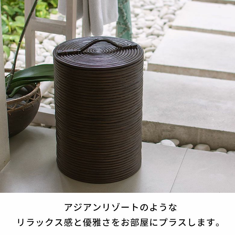 ごみ箱 ラタン 籐 ダストボックス フタ 付 見えない 丸型 約 W 27cm D