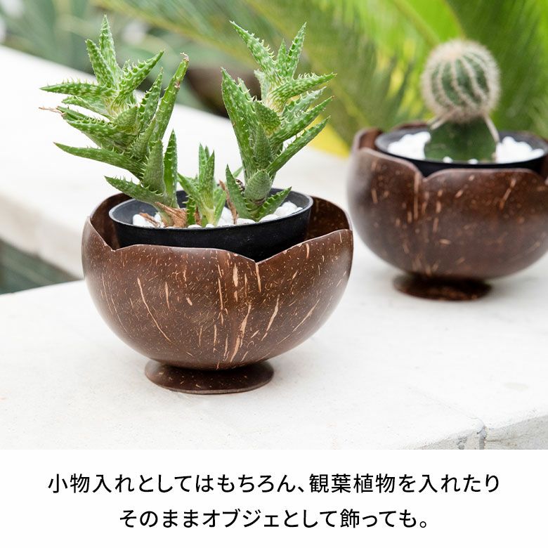 ココナッツウッド デコレーションボウル 花型 オブジェ 小物入れ バリ