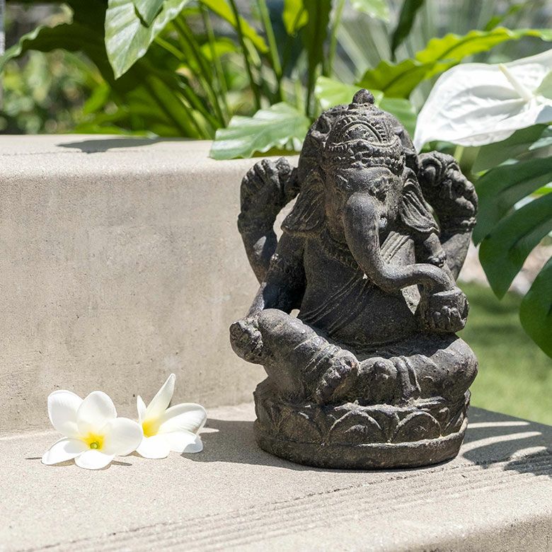 000000001219-02.jpg?size=l&w=