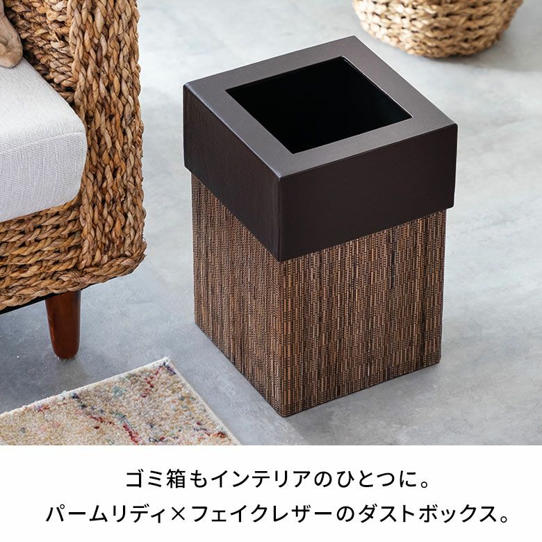 ゴミ箱 ごみ箱 ダストボックス 9L 正方形 四角形 パームリディ 約W