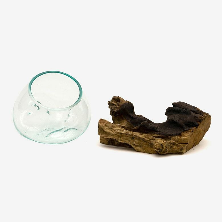 ガラスと流木のプランターオブジェ Sサイズ(12160)【花瓶 花器 花入れ ガラスと流木のプランターオブジェ Sサイズ(12160)【花瓶 花器 花入れ