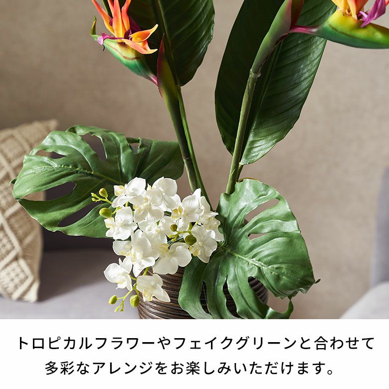 水やり不要のリアルな造花 ストレリチア（極楽鳥花）のアーティ