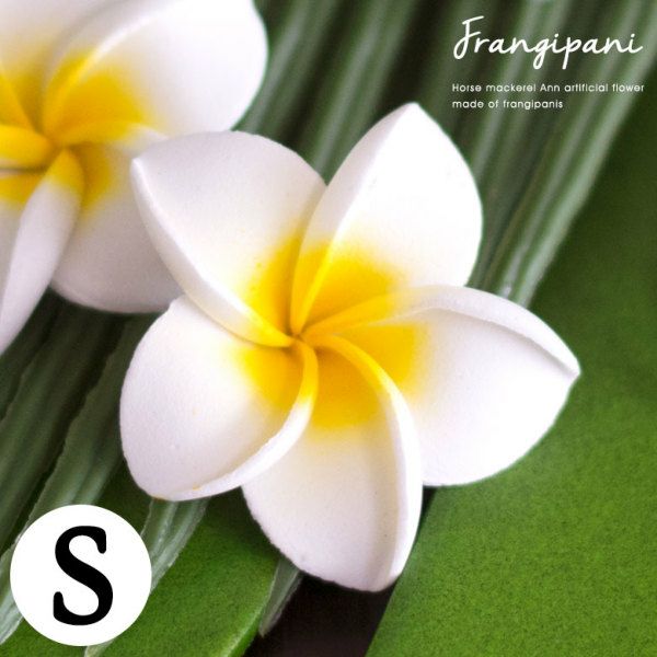 【メール便対応】小さなプルメリア アジアン 造花/ホワイト[Sサ...
