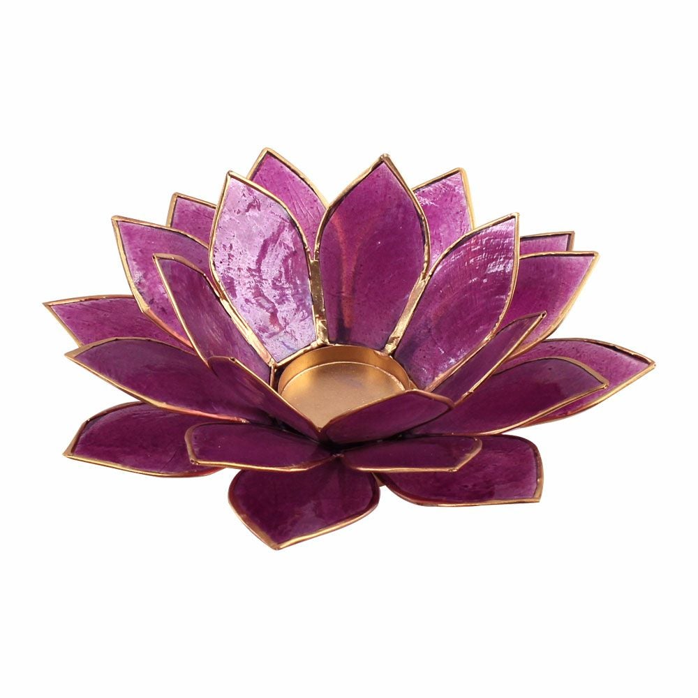 カピスシェルでできた蓮の花のようなキャンドルホルダーMサイズ 3色