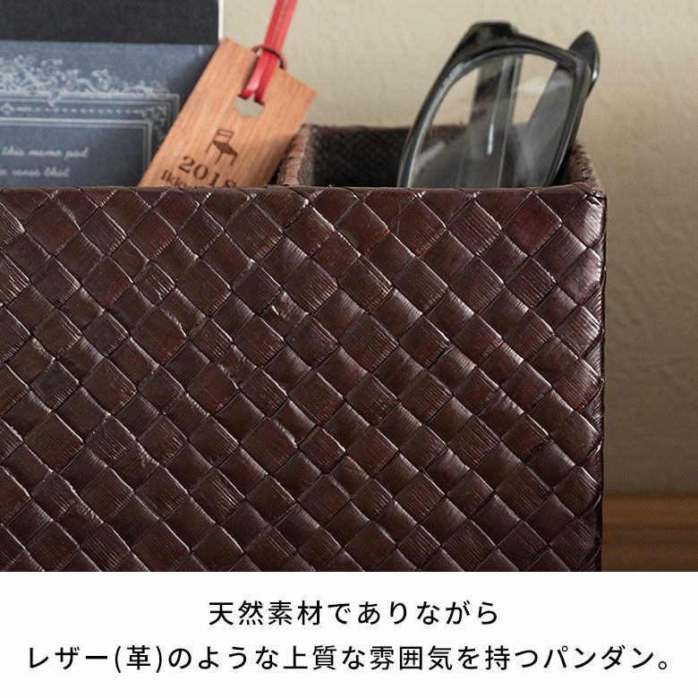 ペン立て マルチスタンドケース 小物収納 パンダン 約 W 18.5cm D 10cm
