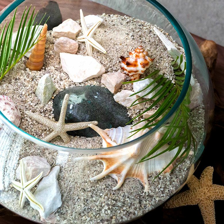 ガラスと流木のプランターオブジェ Lサイズ(12162)【花瓶 花器 花入れ