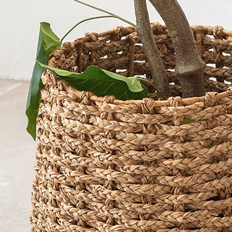 000000002007-09.jpg?size=l&w=