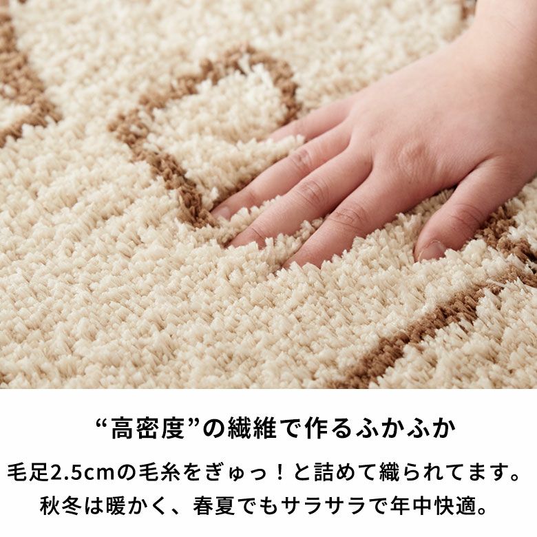 ラグ ラグマット 玄関マット 室内 約 50×80cm ベニオワレン風 長方形