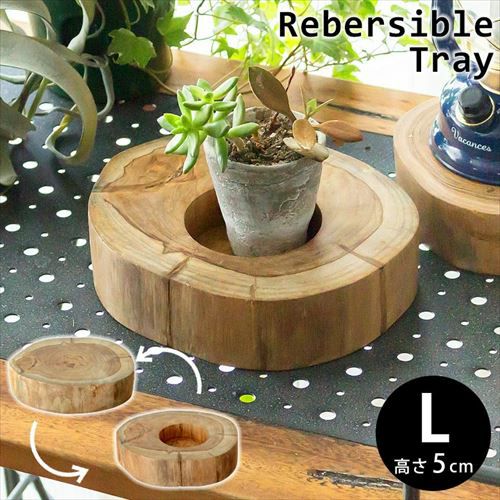 チークウッドのリバーシブルトレイ (L-約5cm)[約20.0×5.0cm](11840b