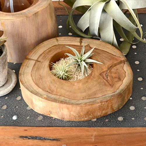 チークウッドのリバーシブルトレイ (L-約5cm)[約20.0×5.0cm](11840b