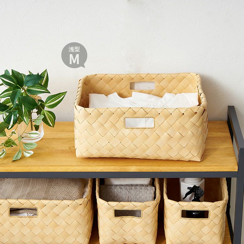 かご バスケット 洗える 白樺風 籠 持ち手付き ポリエチレン製 浅形