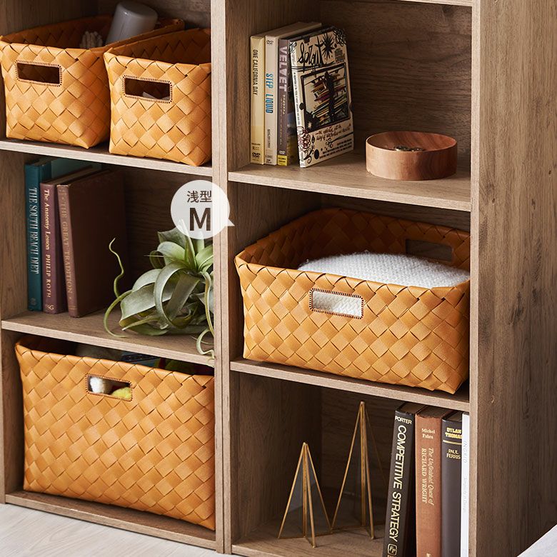 かご バスケット 洗える 白樺風 籠 持ち手付き ポリエチレン製 浅形