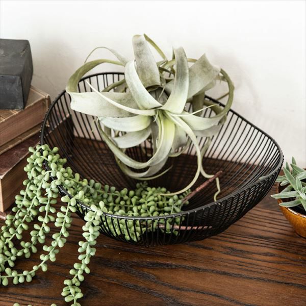 ワイヤーバスケット 楕円形 放射状ワイヤー ブラック [66643]【 かご