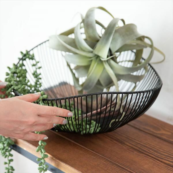 ワイヤーバスケット 楕円形 放射状ワイヤー ブラック [66643]【 かご